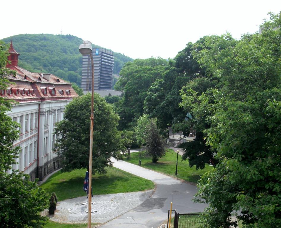 Apartmany Galeta Karlsbad Værelse billede